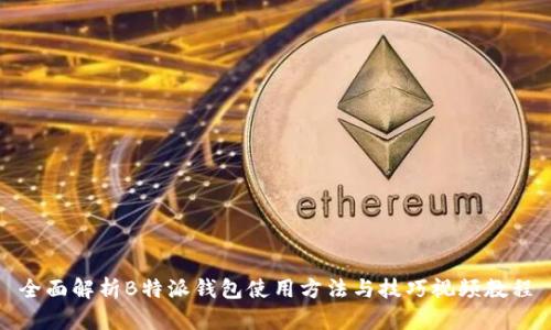 全面解析B特派钱包使用方法与技巧视频教程