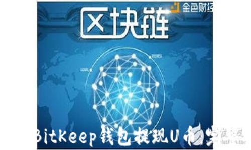 
如何从BitKeep钱包提现U币：完整指南