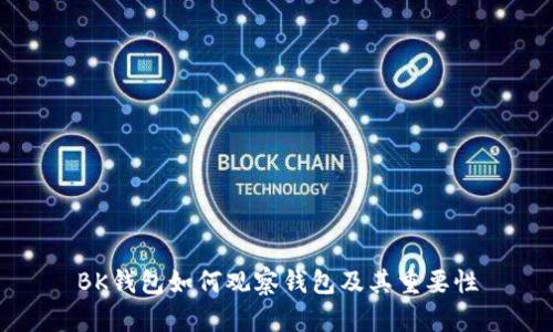 BK钱包如何观察钱包及其重要性