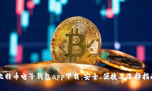 比特币电子钱包app下载：安全、便捷及选择指南