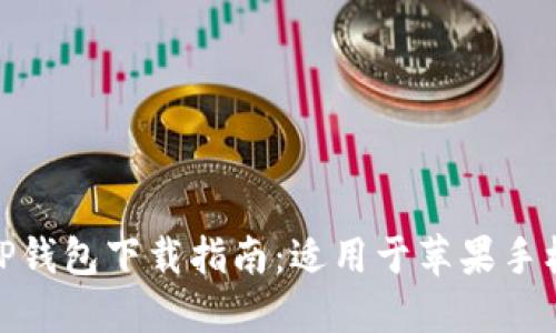 最新版本BitP钱包下载指南：适用于苹果手机的全面介绍