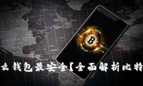 : 比特币用什么钱包最安全？全面解析比特币钱包的选择