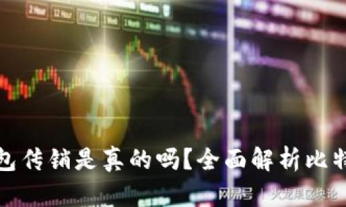 ### 比特派钱包传销是真的吗？全面解析比特币钱包及其风险
