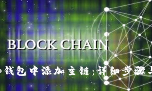 如何在Bitkeep钱包中添加主链：详细步骤与常见问题解答
