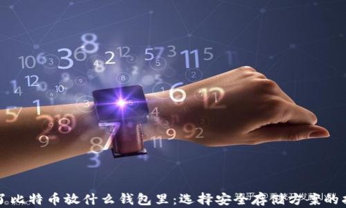 
买了比特币放什么钱包里：选择安全存储方案的指南