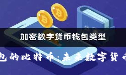 支持人民币钱包的比特币：未来数字货币的趋势与挑战