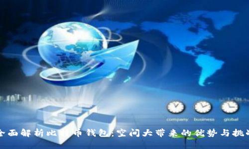全面解析比特币钱包：空间大带来的优势与挑战