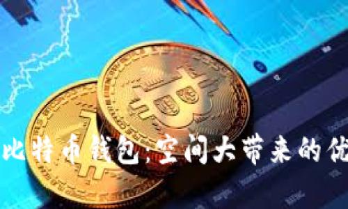全面解析比特币钱包：空间大带来的优势与挑战