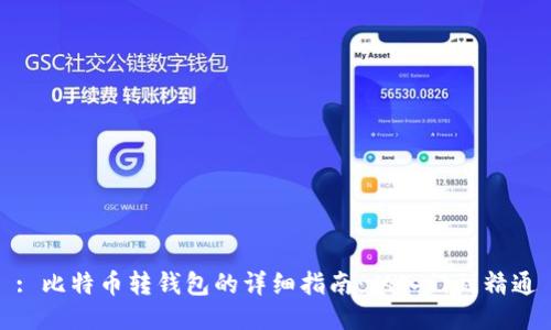 : 比特币转钱包的详细指南：从入门到精通