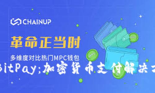 深入解析BitPay：加密货币支付解决方案的未来