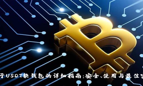 关于USDT软钱包的详细指南：安全、使用与最佳实践