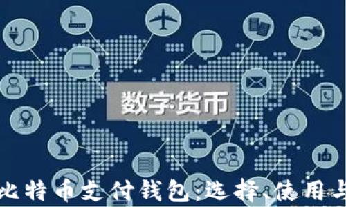 全面解析比特币支付钱包:选择、使用与安全指南