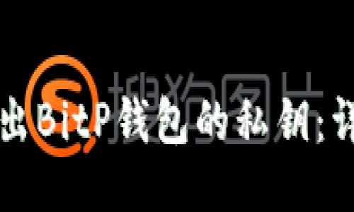 如何导出BitP钱包的私钥：详尽指南