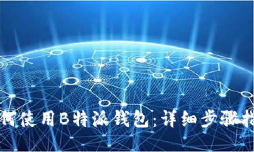 如何使用B特派钱包：详细步骤指南