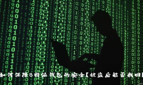 如何保障B特派钱包的安全？被盗后能否找回？