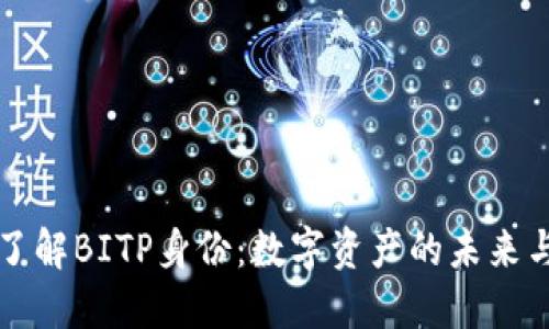 深入了解BITP身份：数字资产的未来与挑战