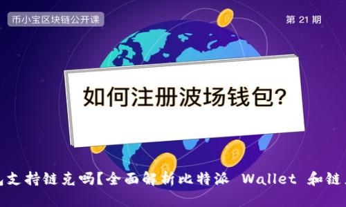 比特派钱包支持链克吗？全面解析比特派 Wallet 和链克的兼容性