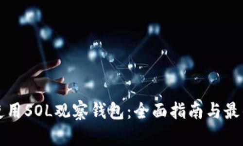 如何使用SOL观察钱包：全面指南与最佳实践
