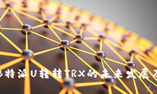 深入解析B特派U转转TRX的未来发展及应用前景