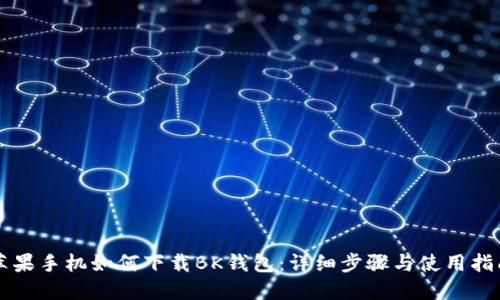 苹果手机如何下载BK钱包：详细步骤与使用指南