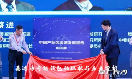 泰达币专链钱包的现状与未来分析
