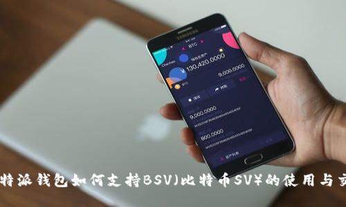 比特派钱包如何支持BSV（比特币SV）的使用与交易