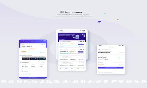 探索比特派钱包的高级选项：提升加密资产管理的终极指南