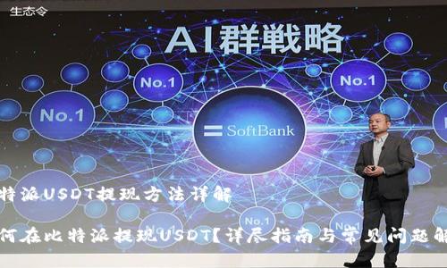 比特派USDT提现方法详解

如何在比特派提现USDT？详尽指南与常见问题解答