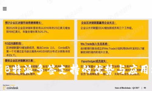 解析B特派多签支持的优势与应用场景