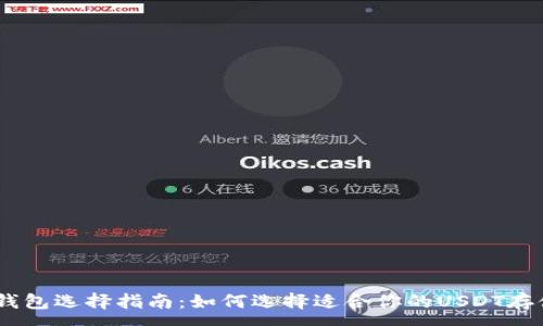:
USDT钱包选择指南：如何选择适合你的USDT存储方案