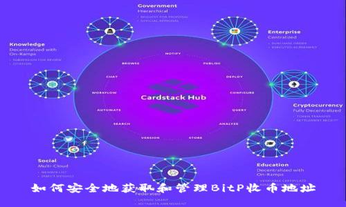 如何安全地获取和管理BitP收币地址
