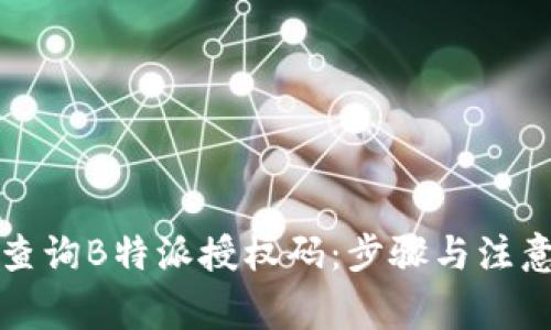 如何查询B特派授权码：步骤与注意事项