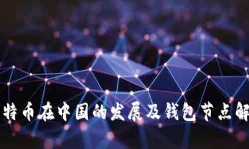 比特币在中国的发展及钱包节点解析