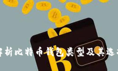 全面解析比特币钱包类型及其选择指南