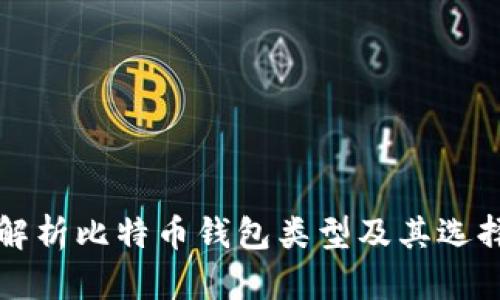 全面解析比特币钱包类型及其选择指南