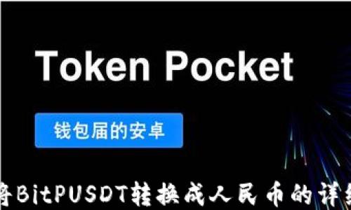 
如何将BitPUSDT转换成人民币的详细指南