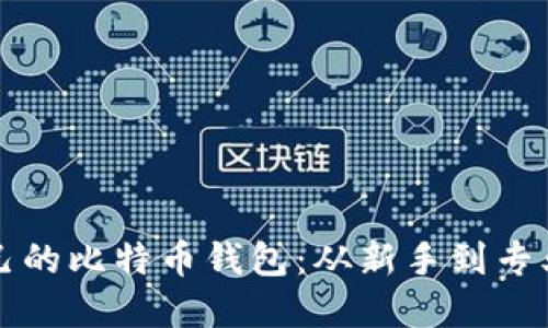 如何选择适合自己的比特币钱包：从新手到专业用户的终极指南