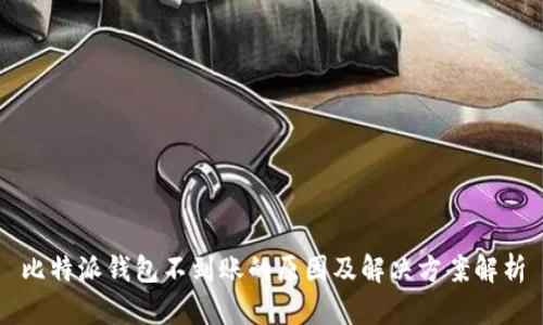 比特派钱包不到账的原因及解决方案解析