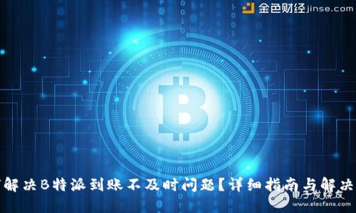 如何解决B特派到账不及时问题？详细指南与解决方案