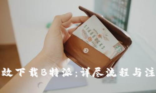 如何高效下载B特派：详尽流程与注意事项
