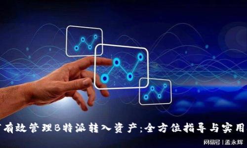 如何有效管理B特派转入资产：全方位指导与实用技巧