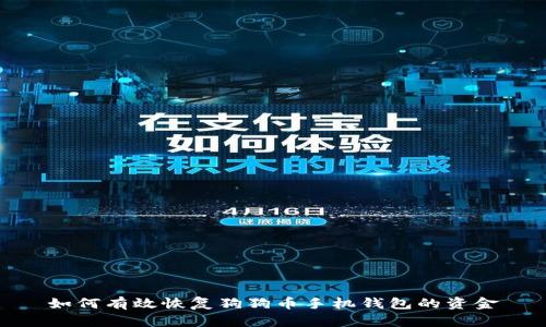 如何有效恢复狗狗币手机钱包的资金