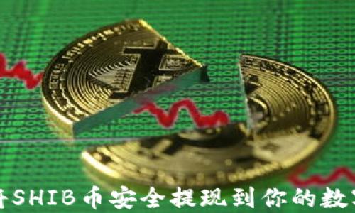 
如何将SHIB币安全提现到你的数字钱包