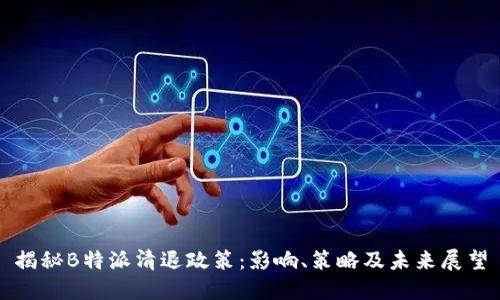 揭秘B特派清退政策：影响、策略及未来展望