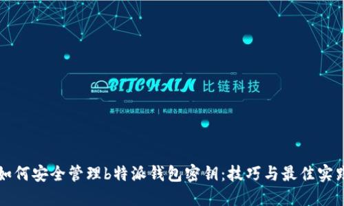如何安全管理b特派钱包密钥：技巧与最佳实践