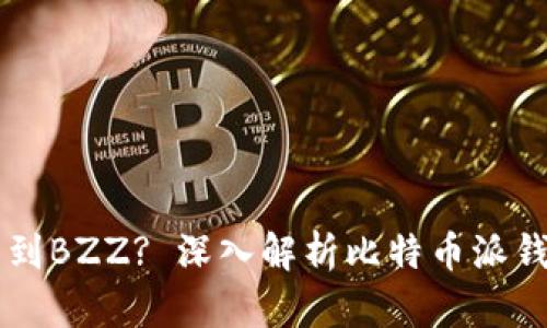 比特派为什么找不到BZZ? 深入解析比特币派钱包与比特币的关系
