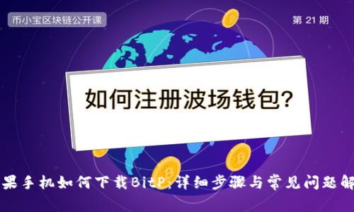 苹果手机如何下载BitP：详细步骤与常见问题解析