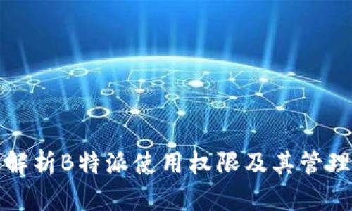 深入解析B特派使用权限及其管理策略