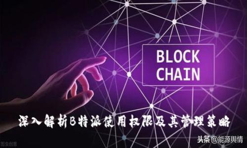 深入解析B特派使用权限及其管理策略