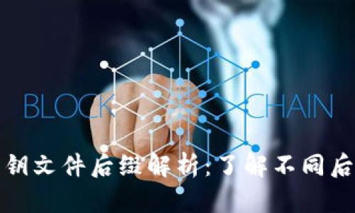 比特币钱包密钥文件后缀解析：了解不同后缀及其重要性